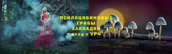 индика Алексеевка