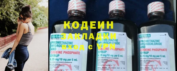 гашик Алексин
