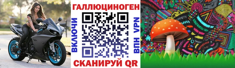 Галлюциногенные грибы MAGIC MUSHROOMS  как найти наркотики  Кимры 